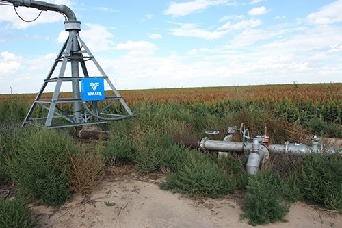 Property photo 23 - LAND AUCTION, 3255+/- Acres offered in 13 Tracts